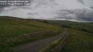 Webcam Thumbnail