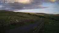 Webcam Thumbnail